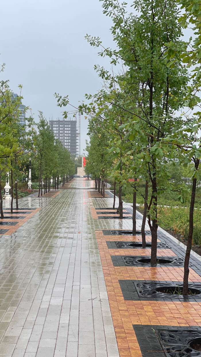 Приствольная решетка для дерева ZKING CRUST 1.2х1.2м Черная в Менделеевске фото