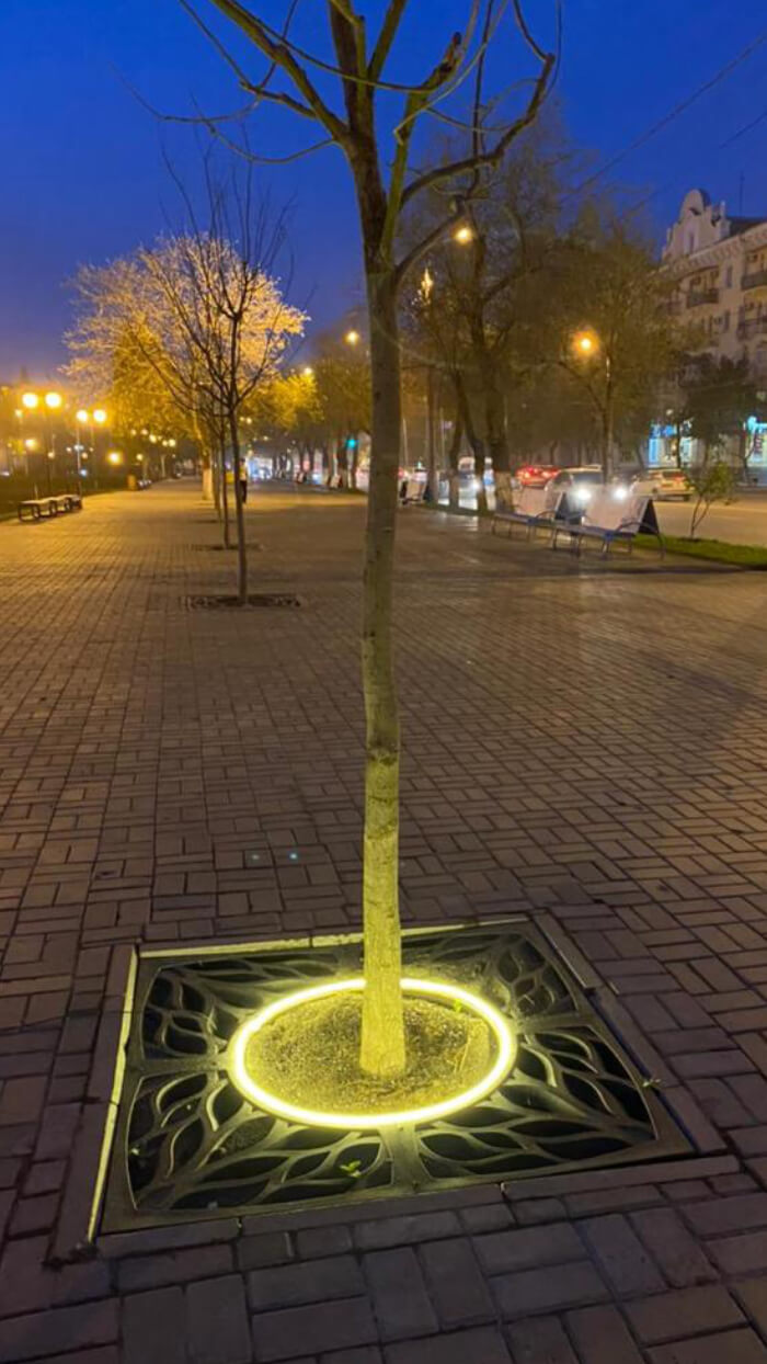 Приствольная решетка для дерева ZKING CRUST 1.2х1.2м Черная в Менделеевске фото